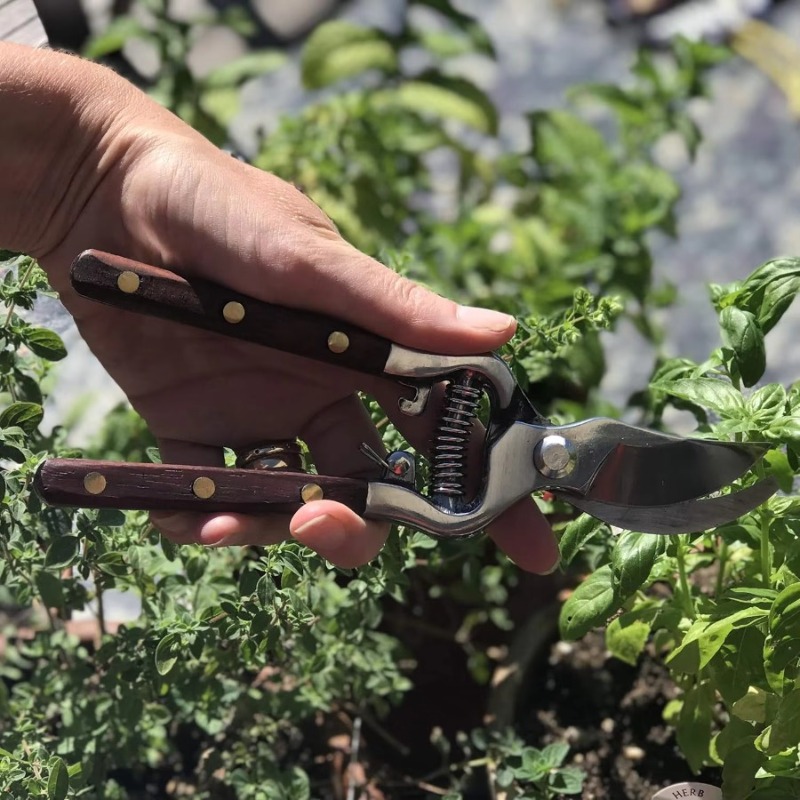 1Pc Wood Handle Pruning Shears - đánh giá và giá Bonsai Garden Knife