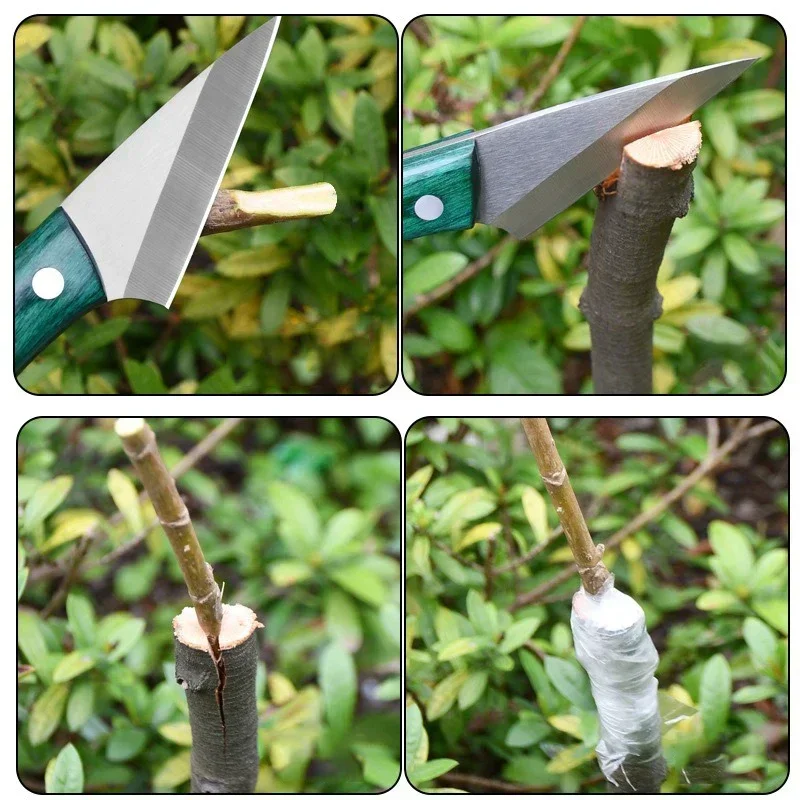 Stainless Steel Grafting Knife - đánh giá và giá Bonsai Garden Knife
