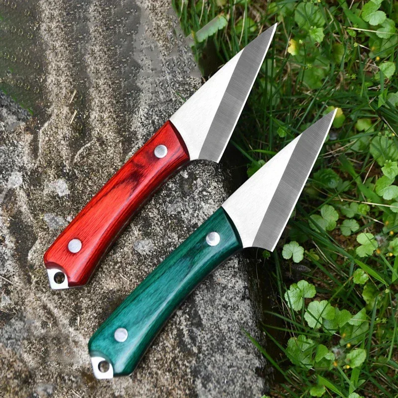 Stainless Steel Grafting Knife - đánh giá và giá Bonsai Garden Knife