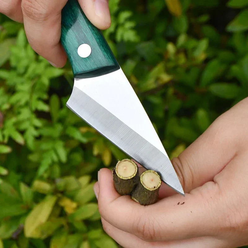 Stainless Steel Grafting Knife - đánh giá và giá Bonsai Garden Knife