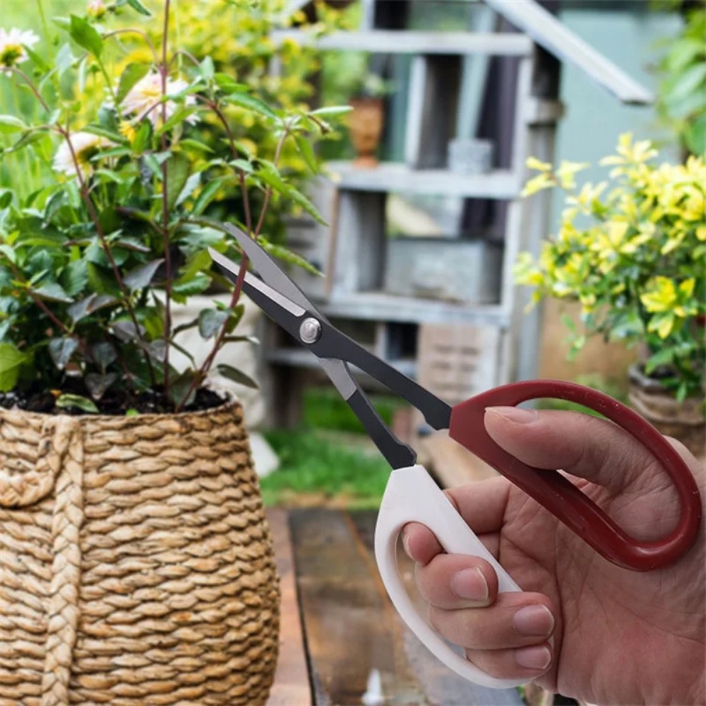 Bonsai Tool Long Handle Scisso - đánh giá và giá Bonsai Garden Knife